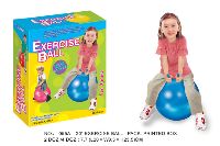 EXERCISE BALL